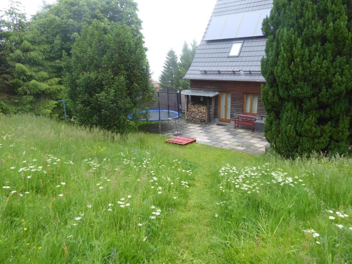 Haus Bergwiese - Fuer Naturfreunde, Familien, Wanderer Gehlberg Exterior photo